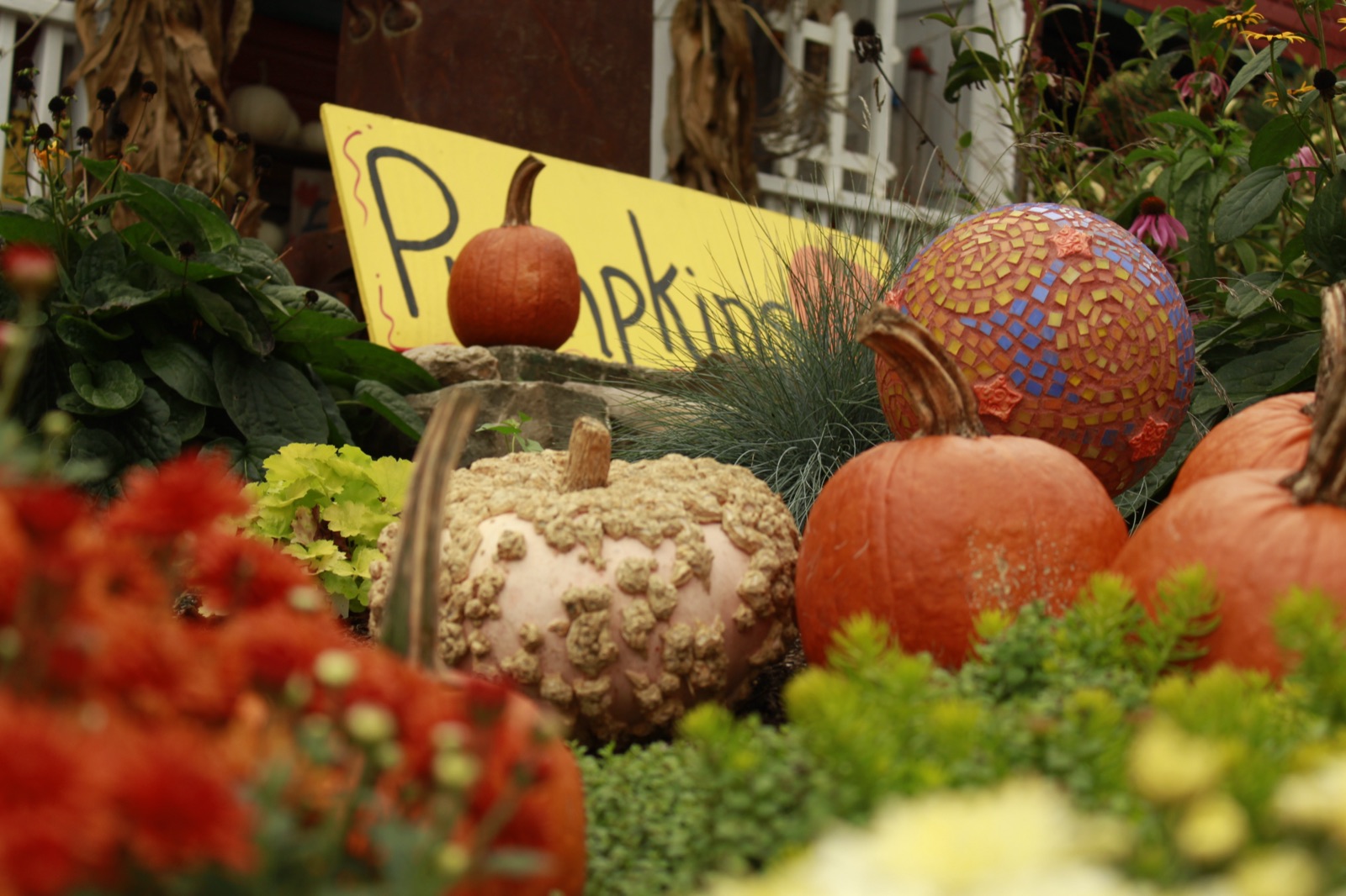 Pumpkin stand